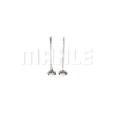 MAHLE VE0210236 Exhaust Valve Exhaust Side for INTERNATIONAL SHACMAN