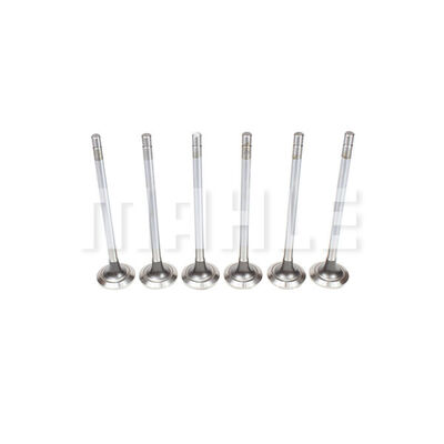 Exhaust Valve