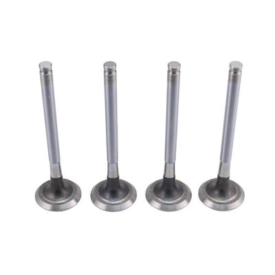 Exhaust Valve