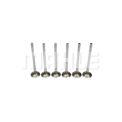 Exhaust Valve