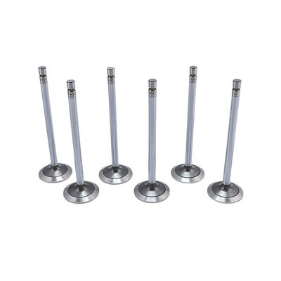 Exhaust Valve