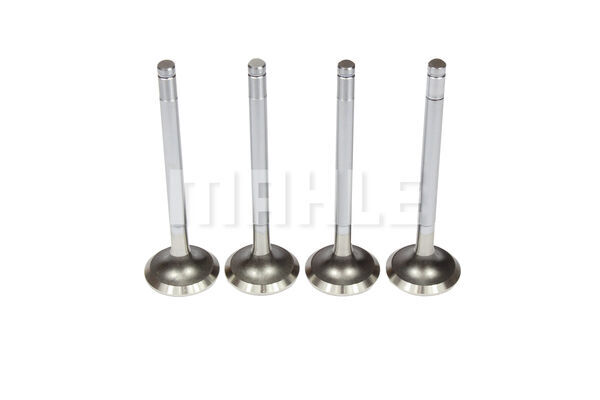 Exhaust Valve