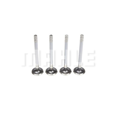 Exhaust Valve