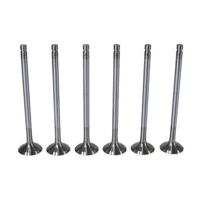 Exhaust Valve
