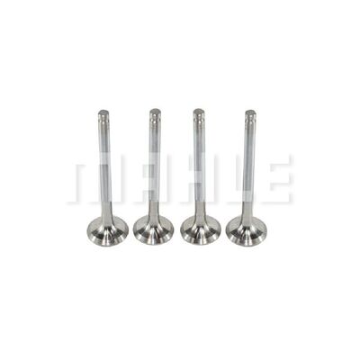 Exhaust Valve