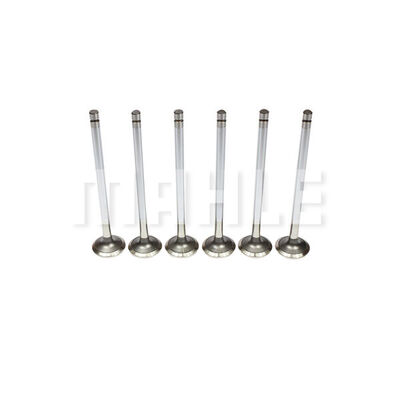 Exhaust Valve