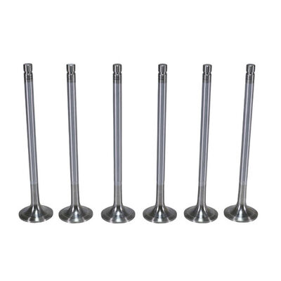 Exhaust Valve