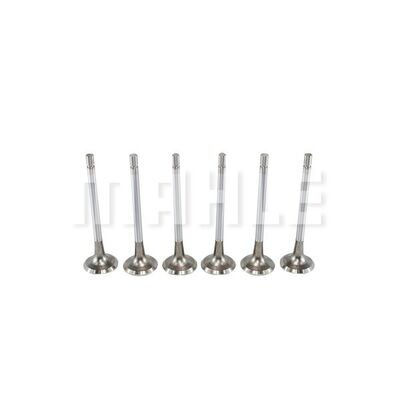 Exhaust Valve