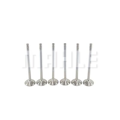 Exhaust Valve