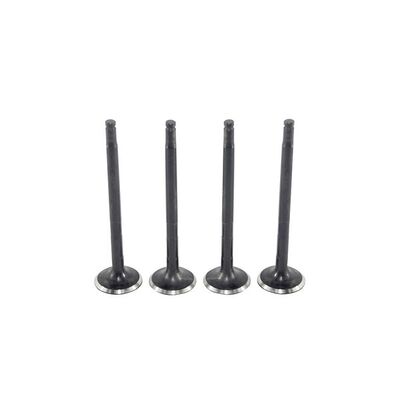 Exhaust Valve