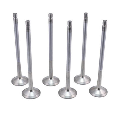 Exhaust Valve