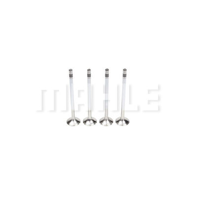 Exhaust Valve