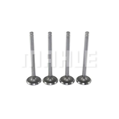 Exhaust Valve
