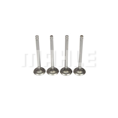 Exhaust Valve