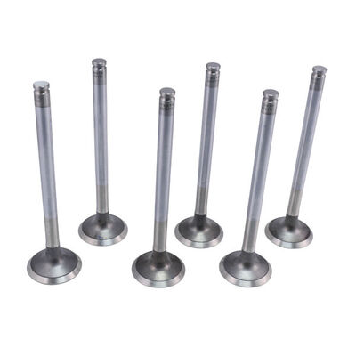 Exhaust Valve