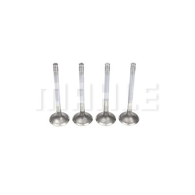 Exhaust Valve