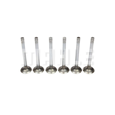 Exhaust Valve