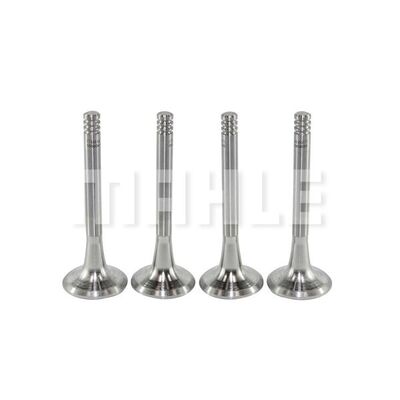 MAHLE VE0590065 Exhaust Valve Exhaust Side for FORD FORD USA VW