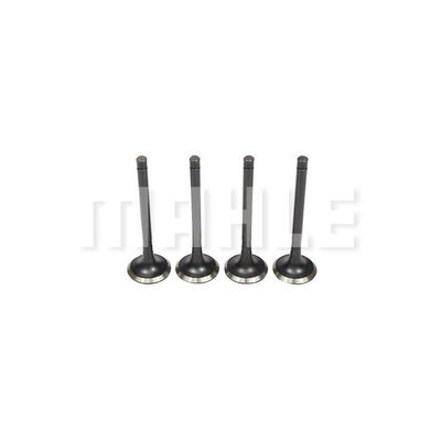 Exhaust Valve