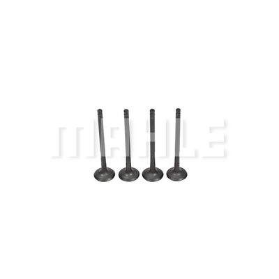 Exhaust Valve