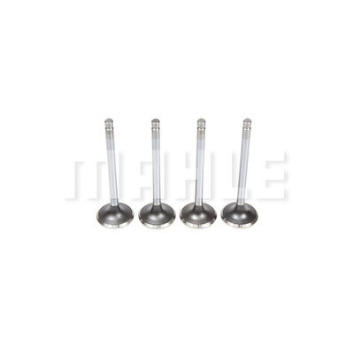 Exhaust Valve