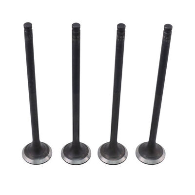 Exhaust Valve