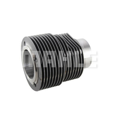 Cylinder Liner