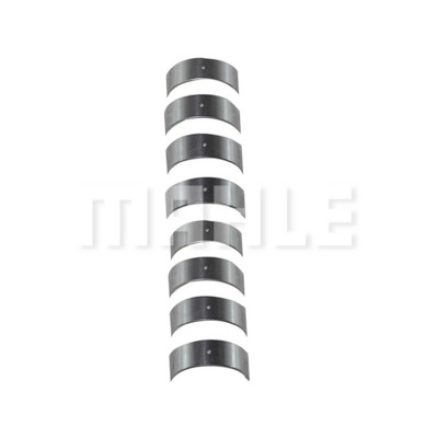 Connecting Rod Bearing Set 2