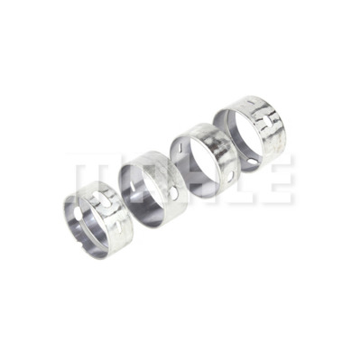 Camshaft Bearing