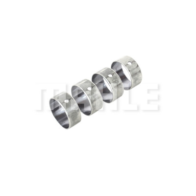 Camshaft Bearing