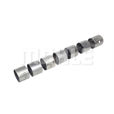 Camshaft Bearing 2