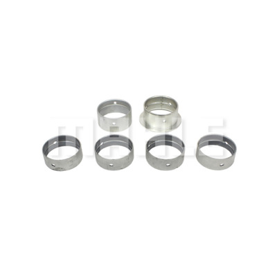 Camshaft Bearing