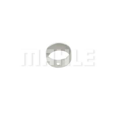 Camshaft Bearing
