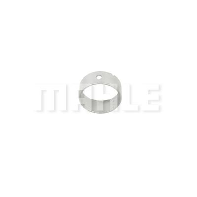 Camshaft Bearing 2