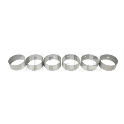 Camshaft Bearing