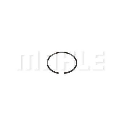 Piston Ring Kit