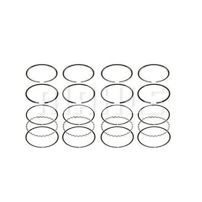 Piston Ring Kit