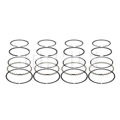 Piston Ring Kit