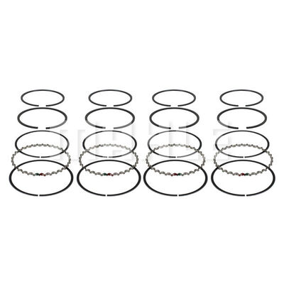 Piston Ring Kit