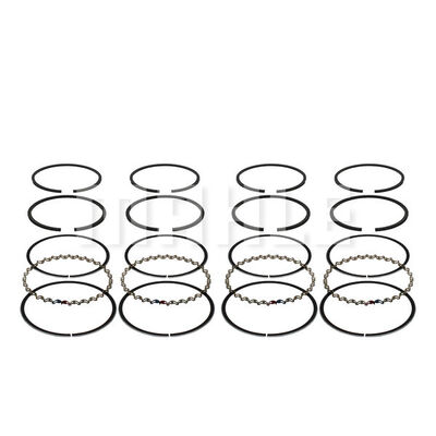 Piston Ring Kit