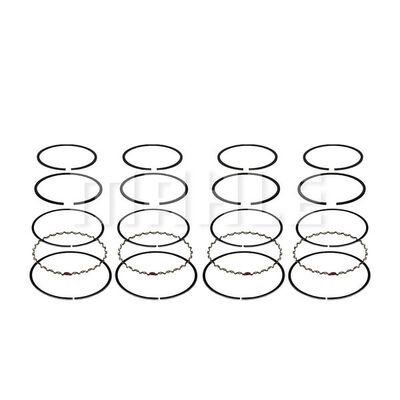 Piston Ring Kit