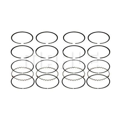 Piston Ring Kit