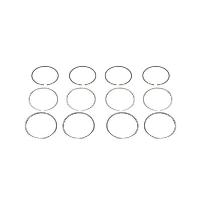 Piston Ring Kit