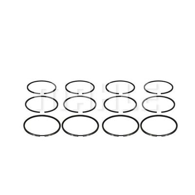 Piston Ring Kit