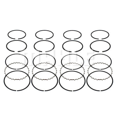 Piston Ring Kit