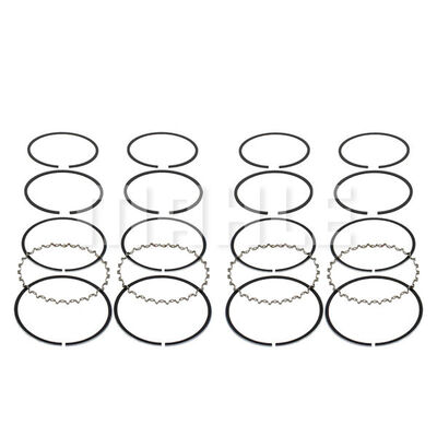 Piston Ring Kit