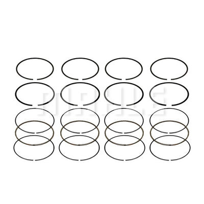 Piston Ring Kit