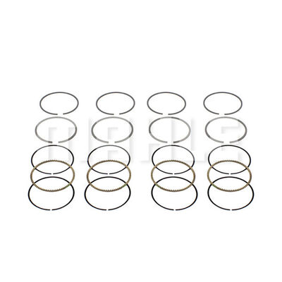 Piston Ring Kit