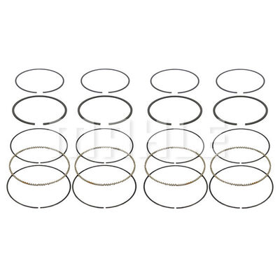 Piston Ring Kit