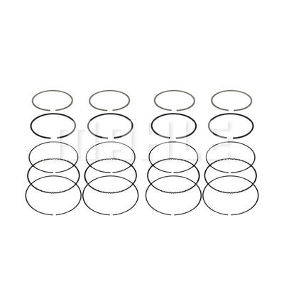Piston Ring Kit